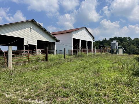 1156 Eagles Nest Rd, Baxter, TN 38544 photo 9