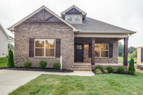 232 Julia Ann Ct, Springfield, TN 37172 photo 1