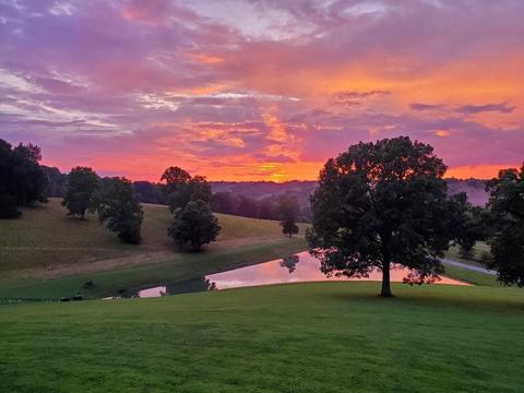 2682 Maple Grove Rd, Dickson, TN 37055 photo 5