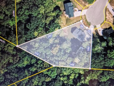 22 Bluff Ct, White Bluff, TN 37187 photo 22