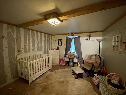 242 Laxson Ln, Morrison, TN 37357 photo 9