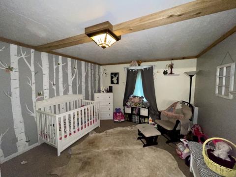 242 Laxson Ln, Morrison, TN 37357 photo 10