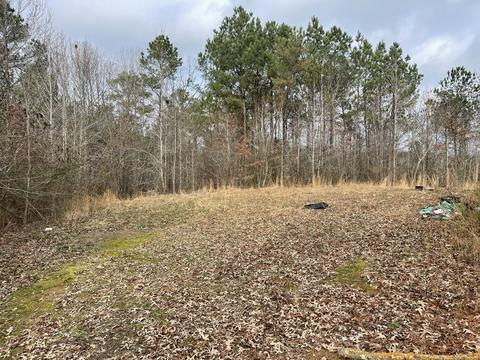 659 Dickey Rd, Ramer, TN 38367 photo 12