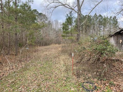 659 Dickey Rd, Ramer, TN 38367 photo 11