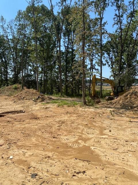 7609 Whispering Wind Ln, Fairview, TN 37062 photo 3