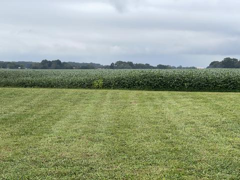5976 Fred Perry Rd, Springfield, TN 37172 photo 27
