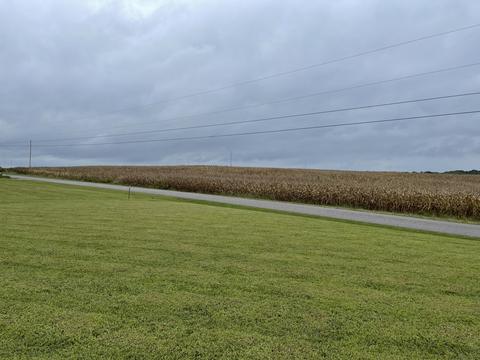 5976 Fred Perry Rd, Springfield, TN 37172 photo 4