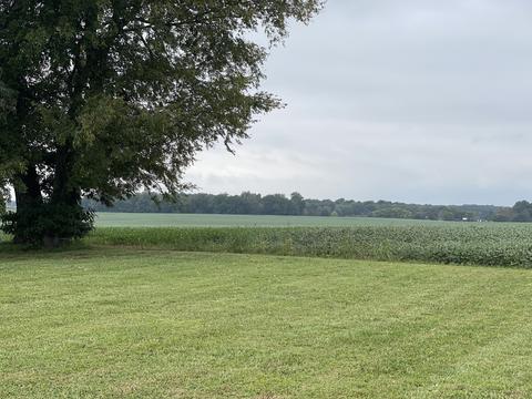 5976 Fred Perry Rd, Springfield, TN 37172 photo 26