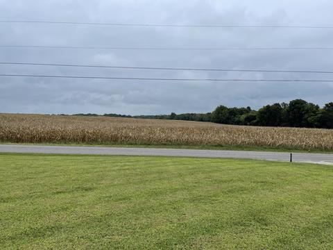 5976 Fred Perry Rd, Springfield, TN 37172 photo 3