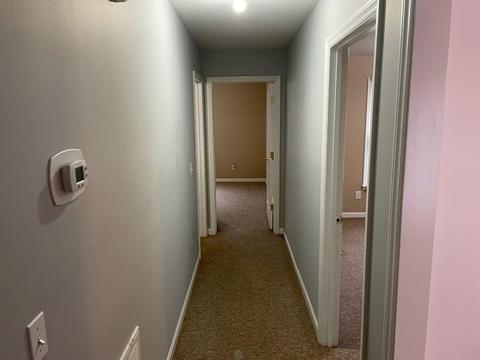 3413 Dutton Ct, Murfreesboro, TN 37130 photo 23