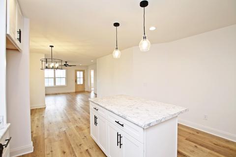 224 Elder Dr, Springfield, TN 37172 photo 13