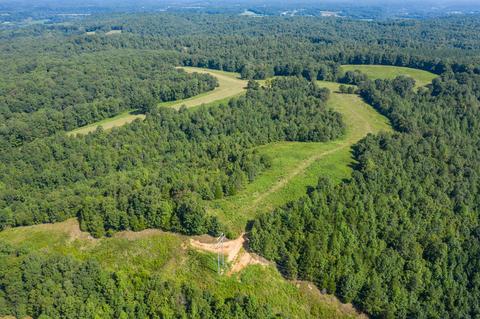 1425 Highway 50 E, Centerville, TN 37033 photo 37