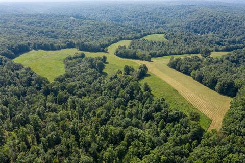 1425 Highway 50 E, Centerville, TN 37033 photo 32
