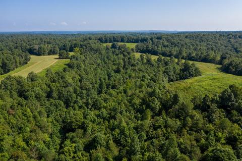 1425 Highway 50 E, Centerville, TN 37033 photo 41