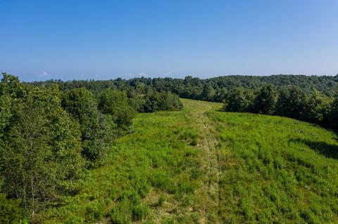 1425 Highway 50 E, Centerville, TN 37033 photo 40
