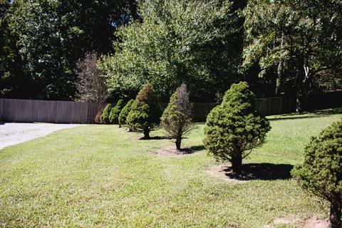 149 Beegee Mcree Lndg, Goodspring, TN 38460 photo 34