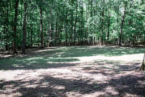 149 Beegee Mcree Lndg, Goodspring, TN 38460 photo 33