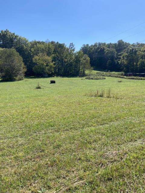 7047 Hwy 76 E, Springfield, TN 37172 photo 2