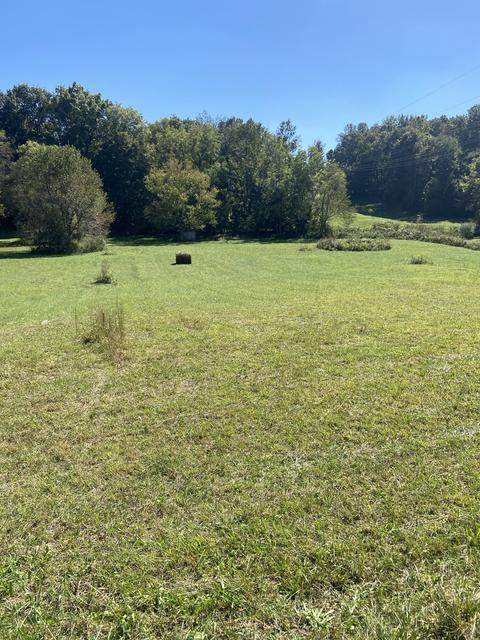 7047 Hwy 76 E, Springfield, TN 37172 photo 3