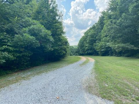 1205 Pack Rd, White Bluff, TN 37187 photo 1