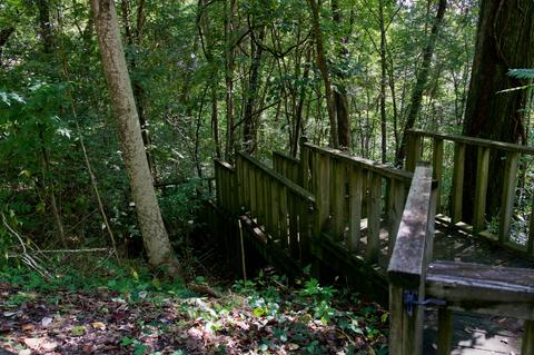 3203 Austin Bottom Rd, Baxter, TN 38544 photo 39