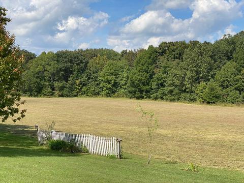 5366 Marion Rd, Cunningham, TN 37052 photo 3