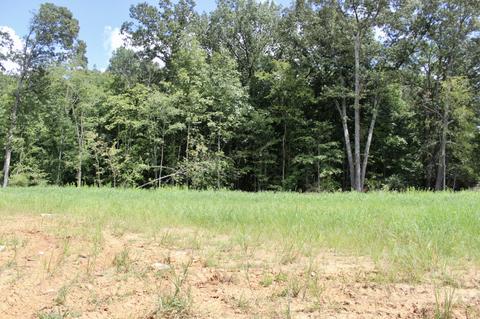 3907 Hon Dr, Murfreesboro, TN 37128 photo 31
