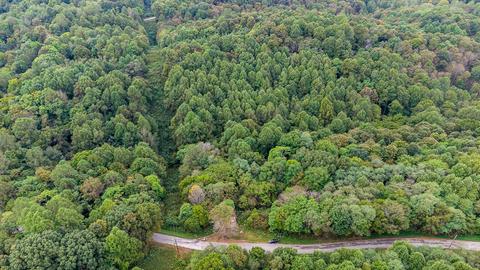 85 Griffs Hollow Ln, Bethpage, TN 37022 photo 3