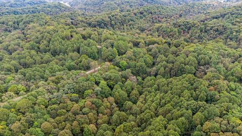 85 Griffs Hollow Ln, Bethpage, TN 37022 photo 7