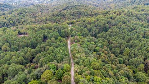 85 Griffs Hollow Ln, Bethpage, TN 37022 photo 8