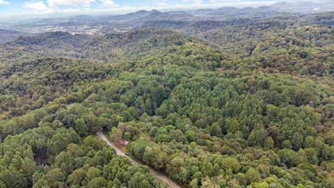 85 Griffs Hollow Ln, Bethpage, TN 37022 photo 9