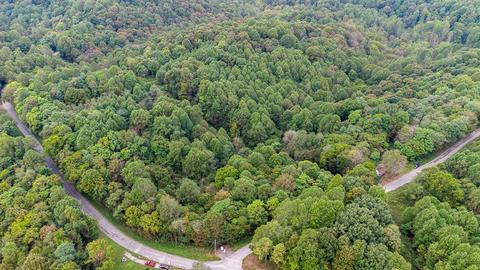 85 Griffs Hollow Ln, Bethpage, TN 37022 photo 4