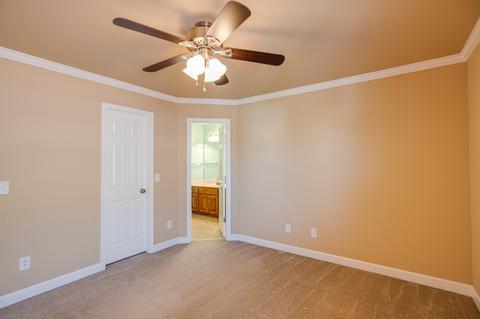 3003 Macon Ct, Spring Hill, TN 37174 photo 30