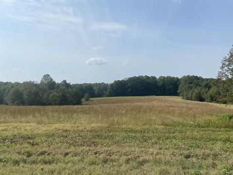 223 Claypool Rd, Bethpage, TN 37022 photo 2