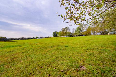 975 Webb Rd W, Eagleville, TN 37060 photo 6