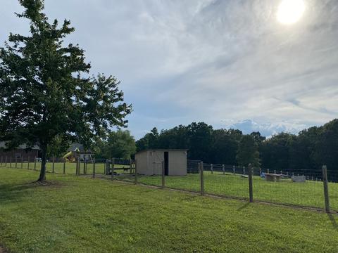 51 Oak Shadow Dr, Loretto, TN 38469 photo 37