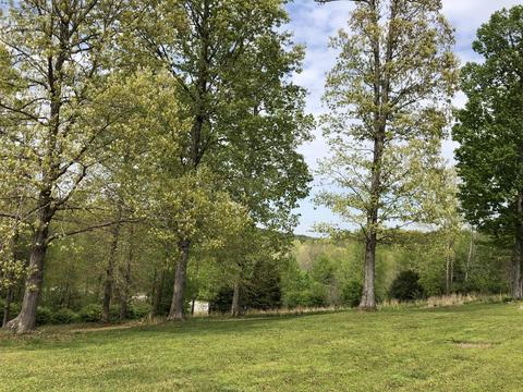 2293 Highway 50, Centerville, TN 37033 photo 35
