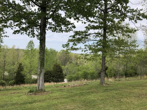 2293 Highway 50, Centerville, TN 37033 photo 33