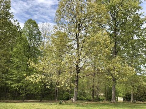 2293 Highway 50, Centerville, TN 37033 photo 34