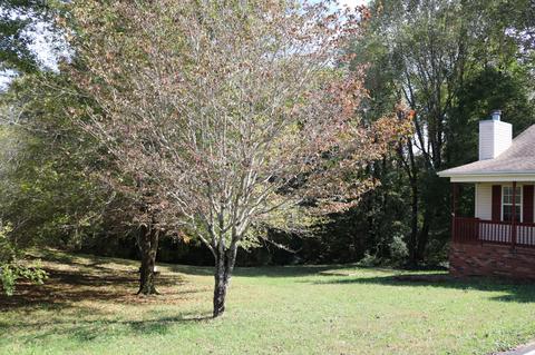 773 Blakemore Rd, Dickson, TN 37055 photo 20