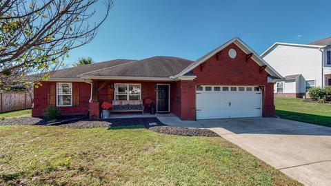 2003 Sparrow St, Spring Hill, TN 37174 photo 28