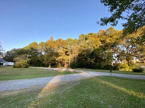 727 Brenda Ave, Loretto, TN 38469 photo 19