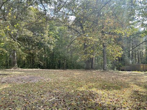 2621 Fall River Rd, Goodspring, TN 38460 photo 3