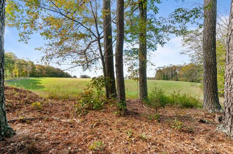 501 Riddle Ln, Loretto, TN 38469 photo 25