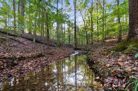 501 Riddle Ln, Loretto, TN 38469 photo 32