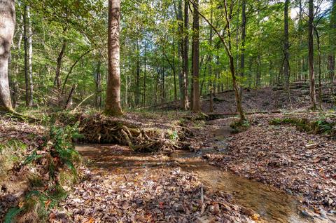 501 Riddle Ln, Loretto, TN 38469 photo 30