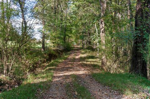 501 Riddle Ln, Loretto, TN 38469 photo 27