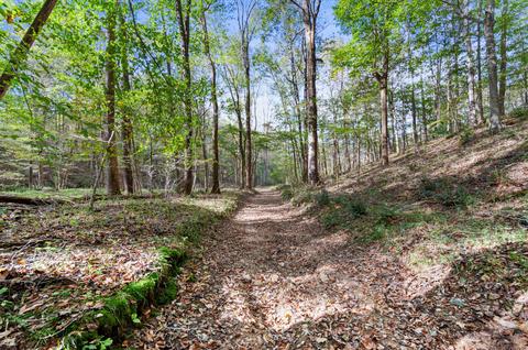 501 Riddle Ln, Loretto, TN 38469 photo 28