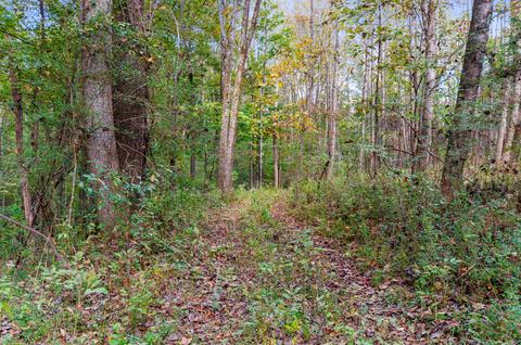 501 Riddle Ln, Loretto, TN 38469 photo 26