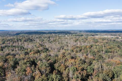 501 Riddle Ln, Loretto, TN 38469 photo 36